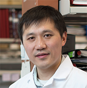 Professor Minkui Luo