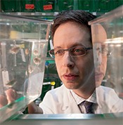 Professor Yariv Houvras